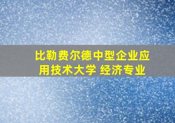 比勒费尔德中型企业应用技术大学 经济专业